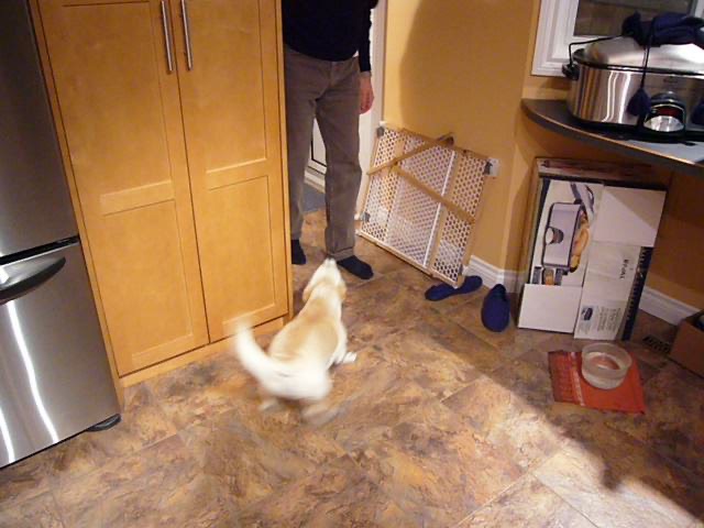 P1000457.jpeg